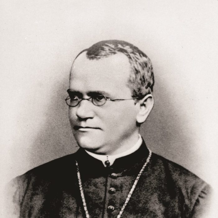 The work of gregor mendel 11.1 answers