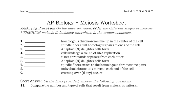 Modeling mitosis and meiosis lab answer key