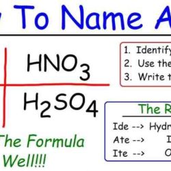 Pogil acids and bases answer key