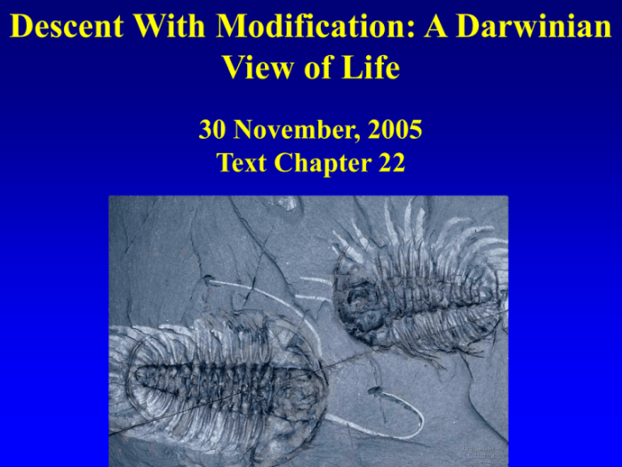 Chapter 22 descent with modification a darwinian view of life