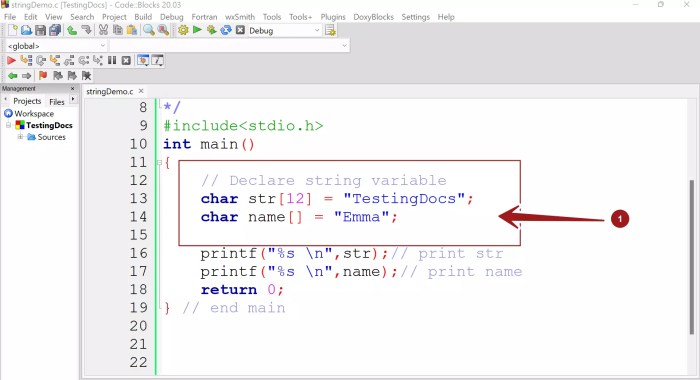 Declare a string variable named mailingaddress.