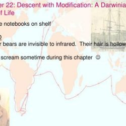 Chapter 22 descent with modification a darwinian view of life