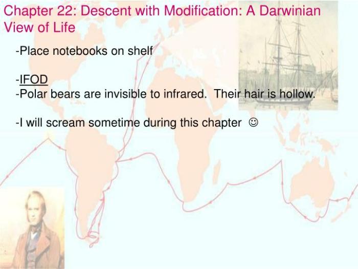 Chapter 22 descent with modification a darwinian view of life