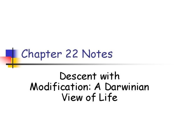 Chapter 22 descent with modification a darwinian view of life